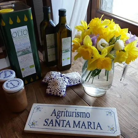 Santa Maria Apartment San Venanzo