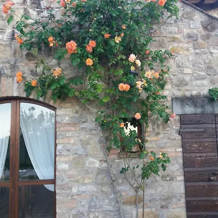 Santa Maria Apartment