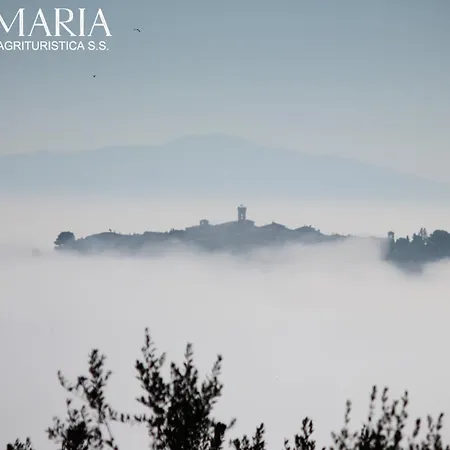 公寓 Santa Maria *
