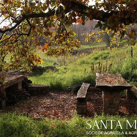 Santa Maria